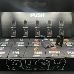 push 2g disposable with screen