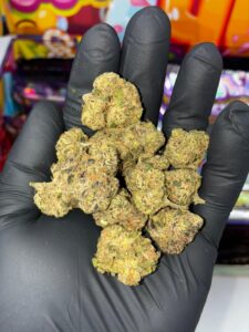 sweetz exotic trap house edition