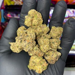 sweetz exotic trap house edition