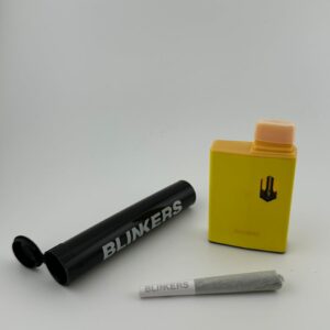 blinkers 2g disposable with pre roll