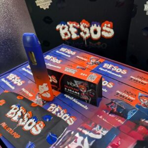 besos paleta pop 2g disposable