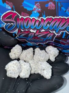 persy snowballs zaza edition