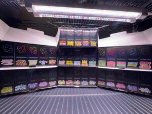 9ines exclusive 2g disposable