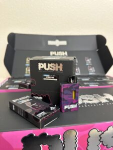 new push 2g disposable