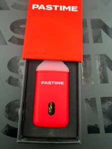pastime 2g disposable