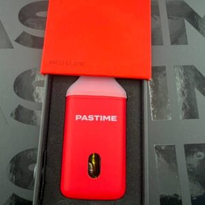 pastime 2g disposable