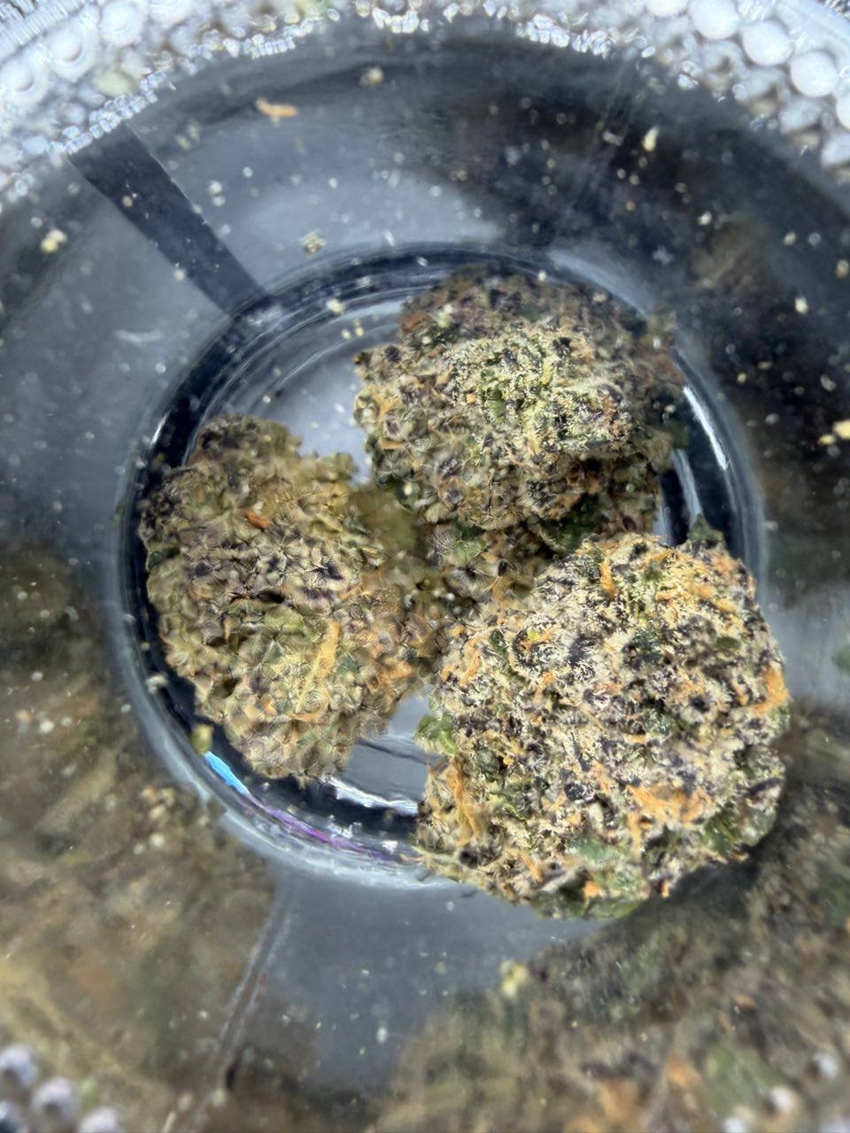 connected flower connected flower