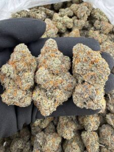 purple push pop strain