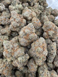 purple push pop strain