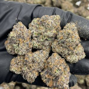 black cherry gumbo strain