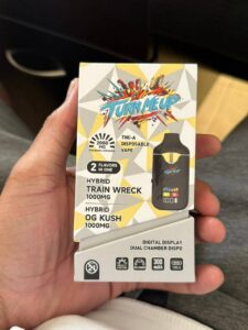 turn me up 2g disposable
