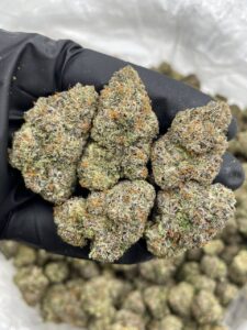 Race Fuel Weed Strain race fuel strain