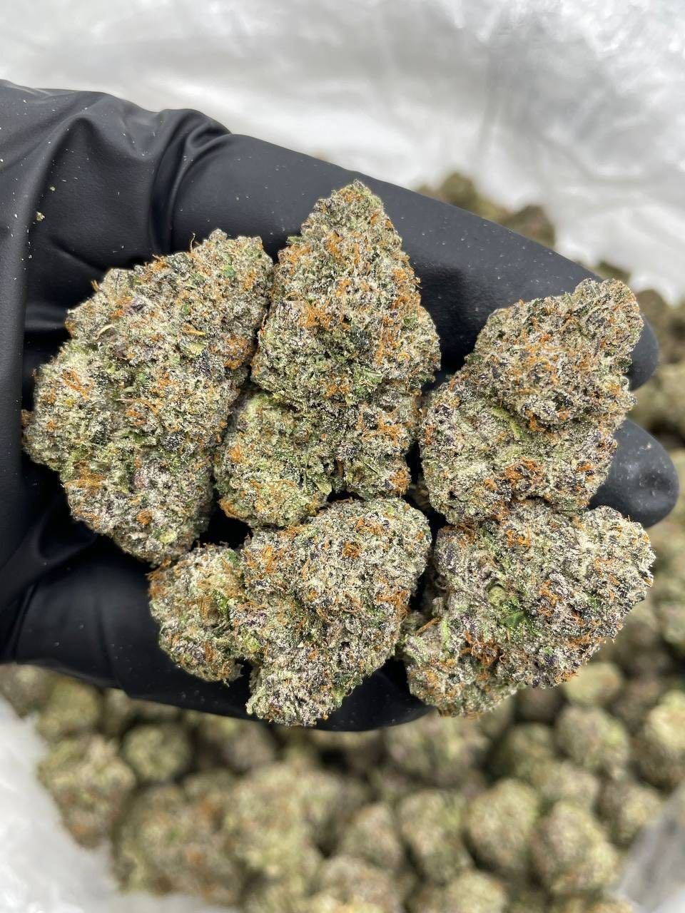 race fuel strain race fuel strain