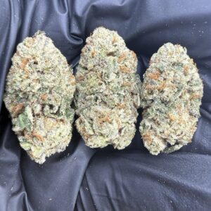 orange tangie strain