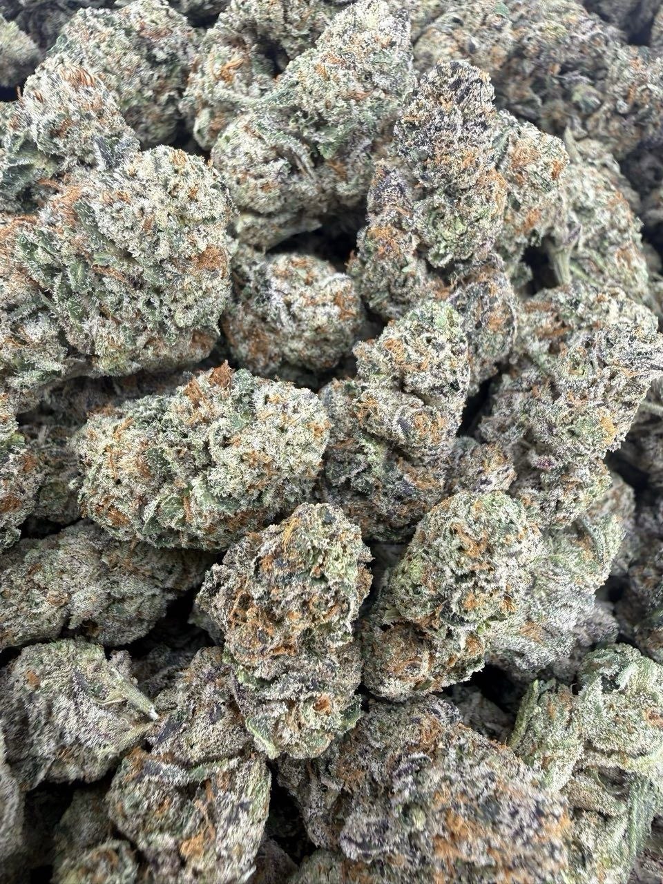 orange tangie strain orange tangie strain