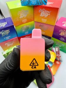micro bars 1g disposable