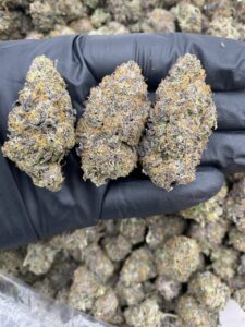 purple cherry weed strain