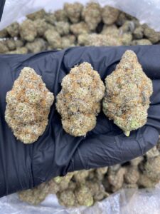 cookies n cream weed strain