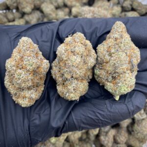 cookies n cream weed strain