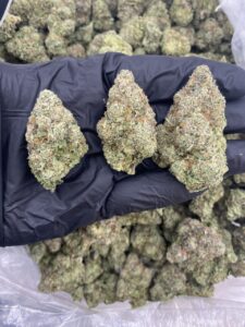 Blue Guava Weed Strain blue guava weed strain