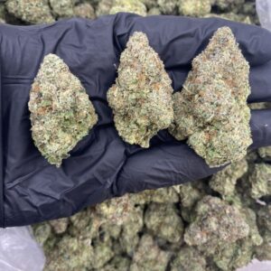 blue guava weed strain
