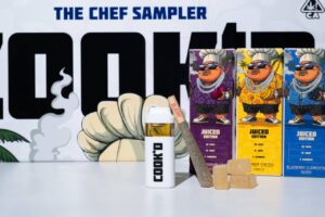 Cook'd 3 In 1 2G Disposable Juice Edition cook