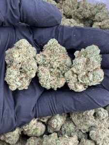 black garlic gelato weed strain