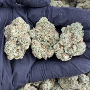 black garlic gelato weed strain