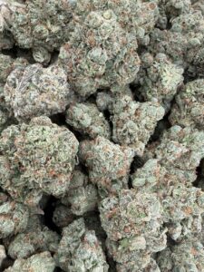 black garlic gelato weed strain