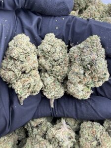 gelato animal mintz weed strain