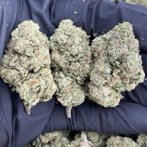 gelato animal mintz weed strain