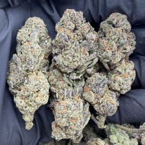 lemon cherry sherbet weed strain
