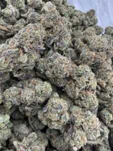 lemon cherry sherbet weed strain