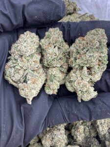 Donny Burger Weed Strain donny burger weed strain