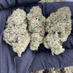 donny burger weed strain