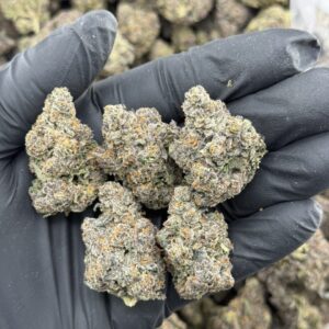 crunch berry weed strain