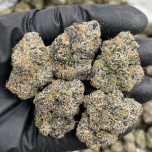 galactic runtz weed strain