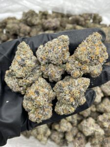 gary payton weed strain