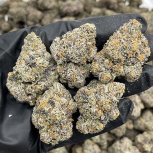 gary payton weed strain