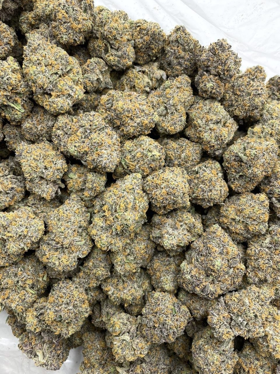 bubblegum belts weed strain bubblegum belts weed strain