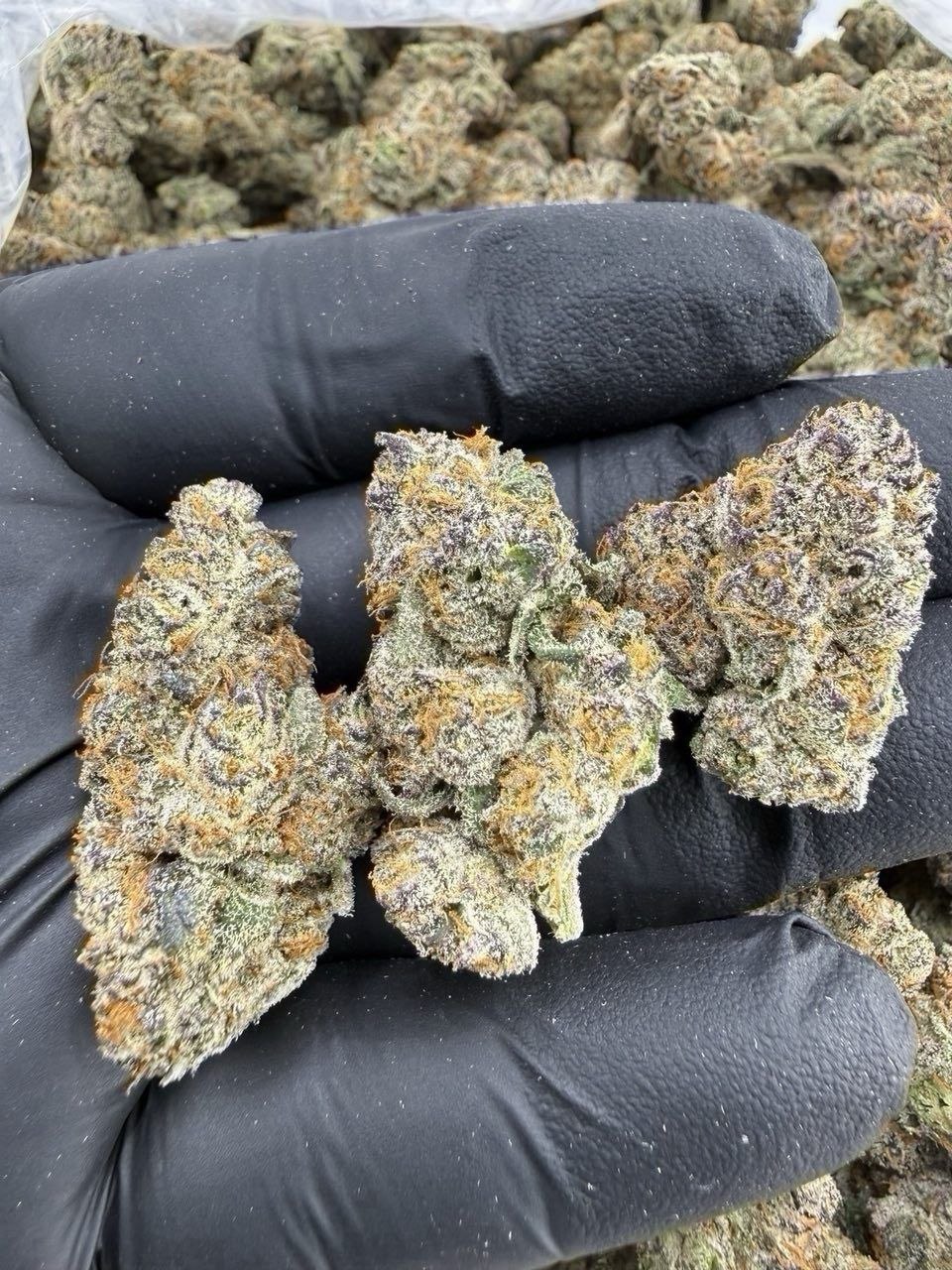 monster cookies weed strain monster cookies weed strain