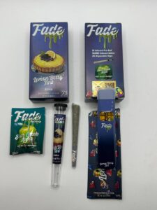 fade 3 in 1 v2 2g disposable