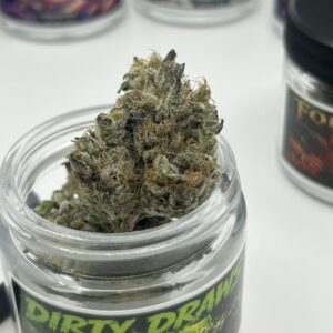 zapys premium indoors flowers