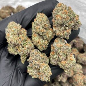 sprinkles weed strain