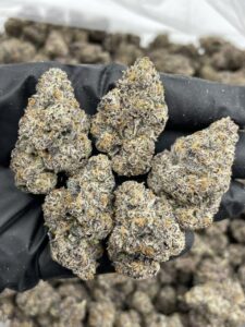 push pop weed strain