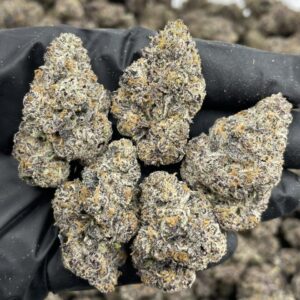 push pop weed strain
