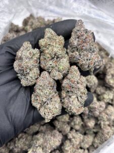 fruity pebbles weed strain