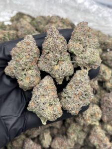 almond mochi weed strain