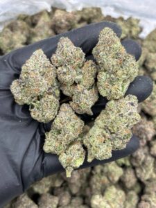 cherry poppers weed strain